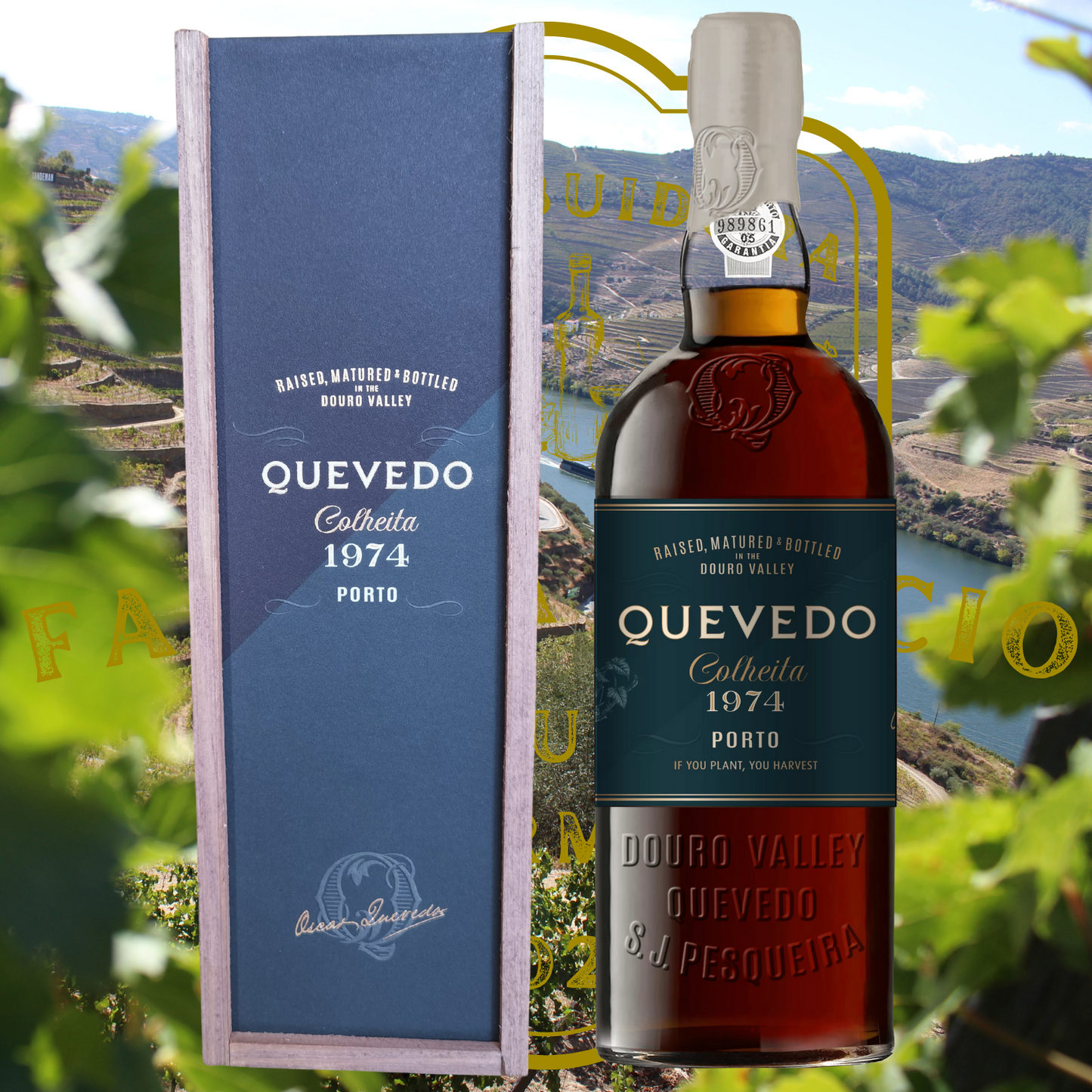 Porto Quevedo Colheita 1974 - Woodbox - 750 ML